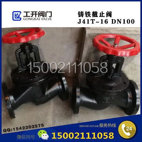 Cast iron flange globe valve